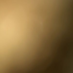 Meet your Posher, Tania